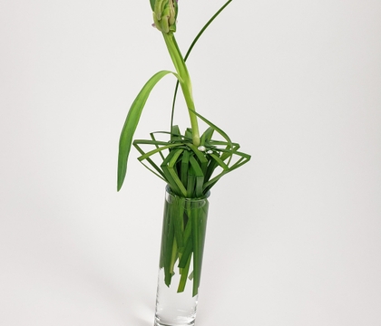 To top it all off To top it all off