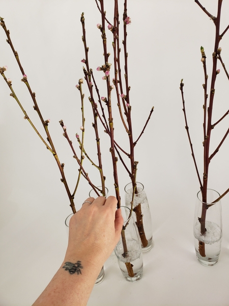 Turn the blossom branches so that they settle in a neat upright position Turn the blossom branches so that they settle in a neat upright position