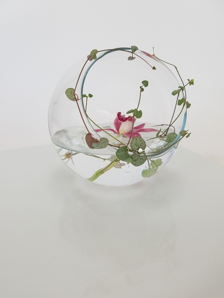 A contemporary flower arrangement using no floral foam A contemporary flower arrangement using no floral foam