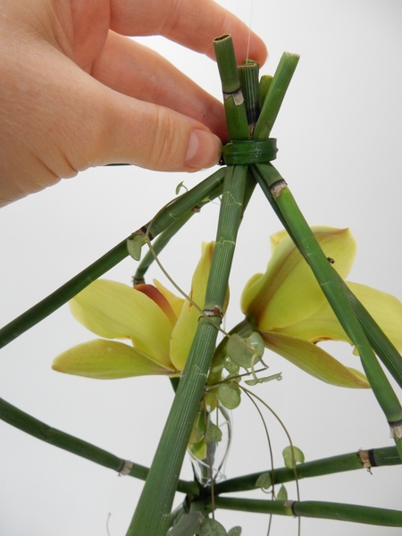 And press the equisetum flat to secure And press the equisetum flat to secure