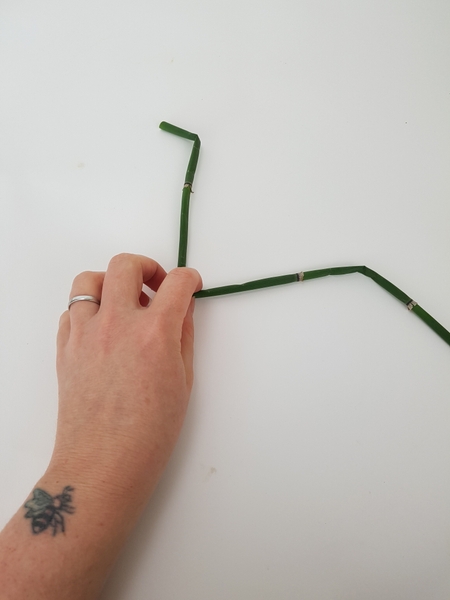 Bend equisetum into a deep v with two legs Bend equisetum into a deep v with two legs