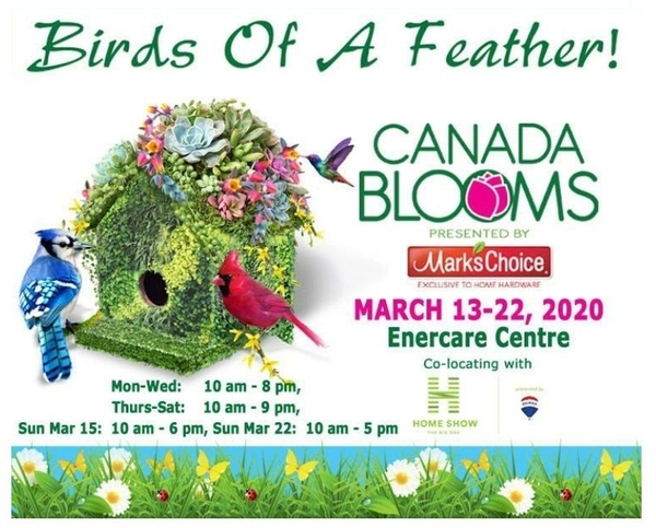 Canada Blooms 2020 Canada Blooms 2020