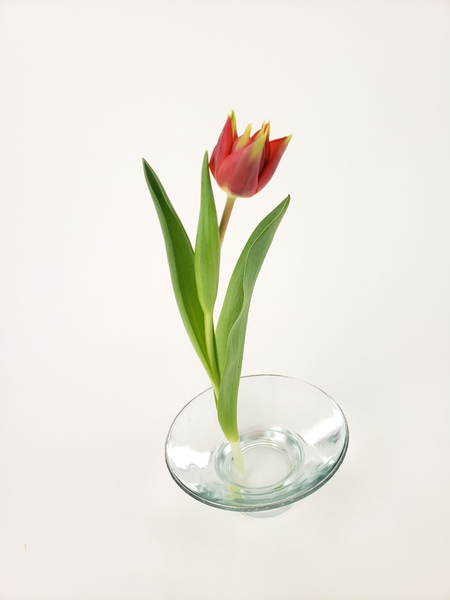 Connect with nature by arranging flowers Connect with nature by arranging flowers