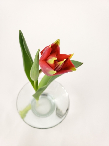 Creative no waste no foam sustainable design solutions for floral designers Creative no waste no foam sustainable design solutions for floral designers
