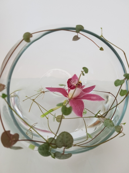 Floating an orchid and rooting succulents in one design Floating an orchid and rooting succulents in one design