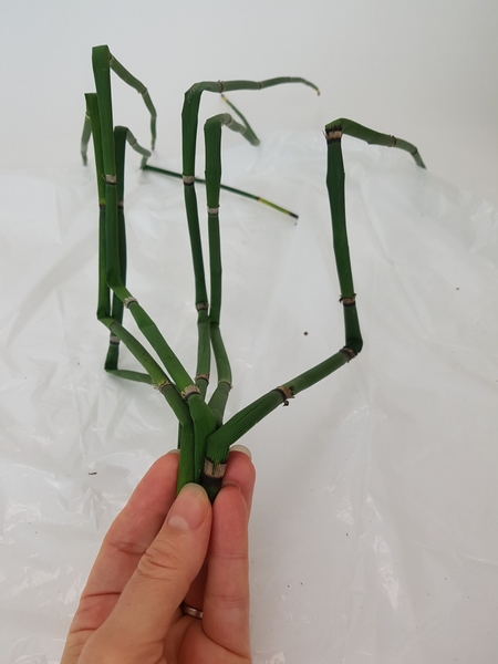 Gather the equisetum at one end Gather the equisetum at one end