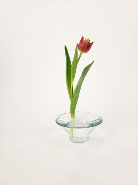 Hang in there floral arrangement by Christine de Beer Hang in there floral arrangement by Christine de Beer