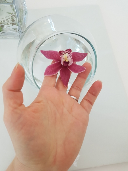 I also placed a single cymbidium orchid in the bowl I also placed a single cymbidium orchid in the bowl