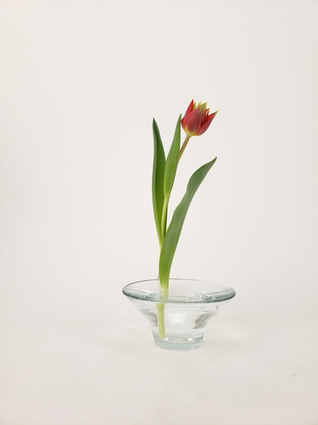 Minimalist flower arranging ideas for a meditation space Minimalist flower arranging ideas for a meditation space