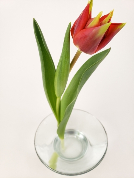 Original flower arranging inspiration and tutorials Original flower arranging inspiration and tutorials