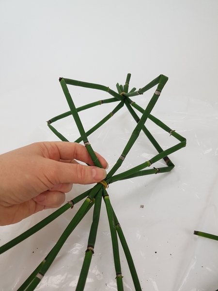 Re-position the stems so that they neatly radiate out from the gathered ends Re-position the stems so that they neatly radiate out from the gathered ends