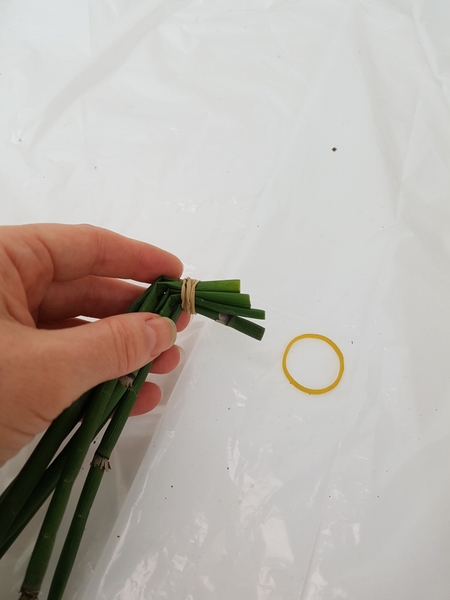 Secure it with a small elastic band Secure it with a small elastic band