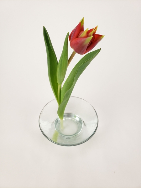Soft minimalist floral styling Soft minimalist floral styling