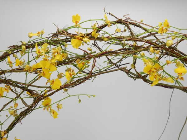 Sustainable and contemporary flower arranging ideas for florist Sustainable and contemporary flower arranging ideas for florist