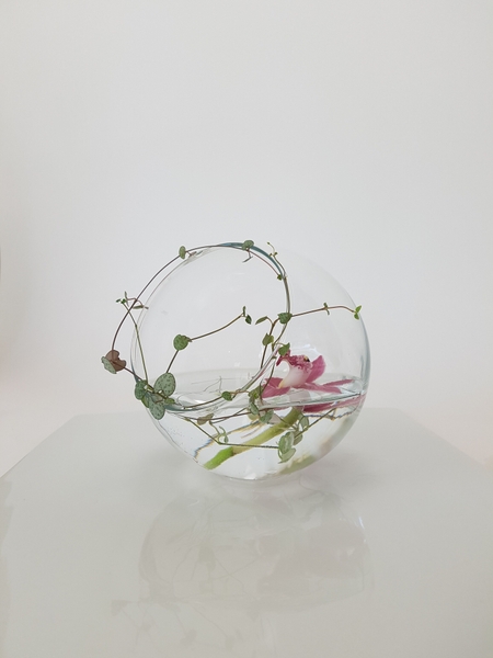 Using a fishbowl vase in a new way Using a fishbowl vase in a new way