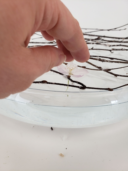 Cut the stems of the blossoms as long as possible Cut the stems of the blossoms as long as possible