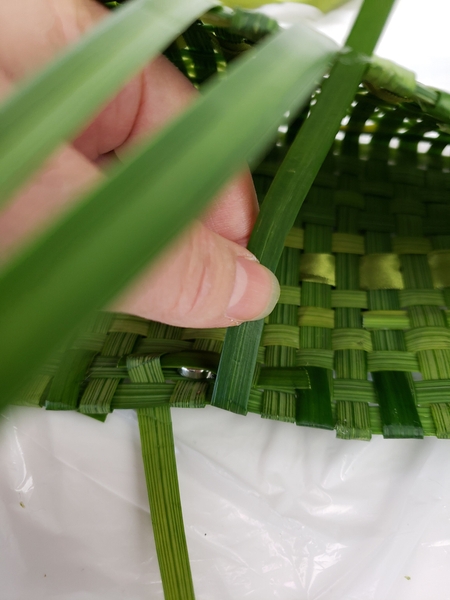 Fold the first blade of grass back in Fold the first blade of grass back in