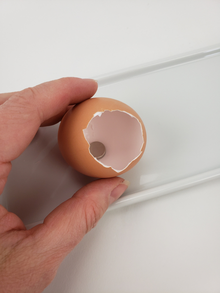 Position the eggshell on a display platter