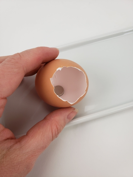 Position the eggshell on a display platter Position the eggshell on a display platter