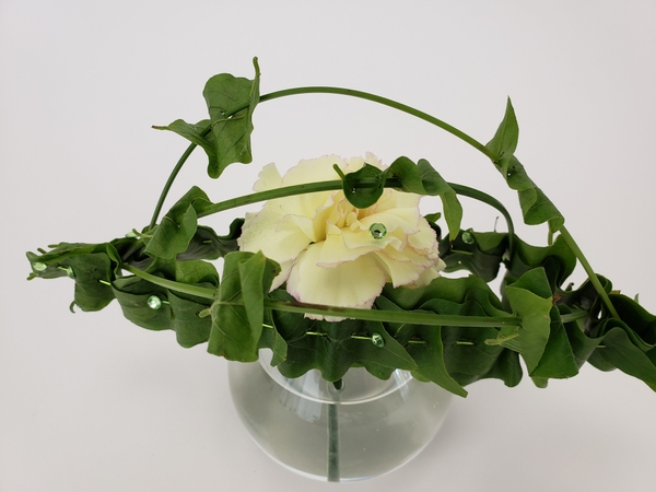 Add some details to make a single flower in a vase more interesting Add some details to make a single flower in a vase more interesting