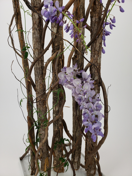 Bark armature display for fresh Wisteria flowers