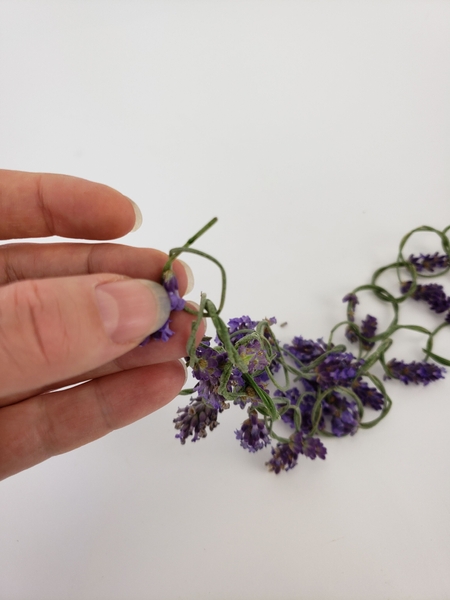 By pressing the flower stem through both of the end lavender knots By pressing the flower stem through both of the end lavender knots