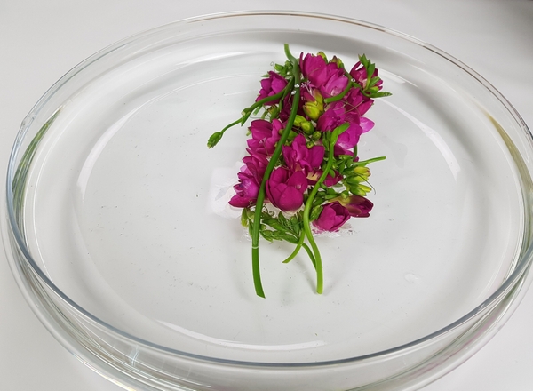 Contemporary flower arrangements for gardeners Contemporary flower arrangements for gardeners