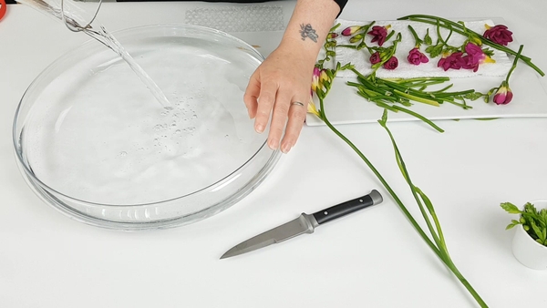 Fill a large display container with water Fill a large display container with water