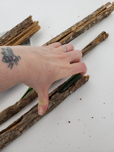 Fit water tubes into the rolled bark Fit water tubes into the rolled bark