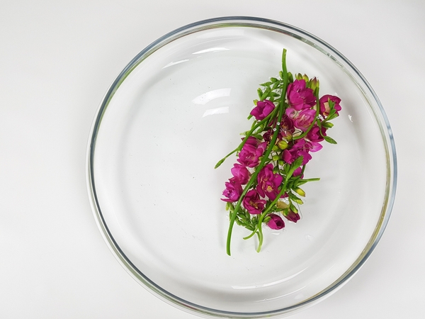 Floating floral design by Christine de Beer Floating floral design by Christine de Beer