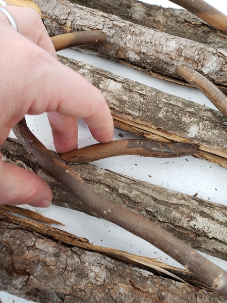 Make sure that each bark roll is attached to at least three other rolls Make sure that each bark roll is attached to at least three other rolls