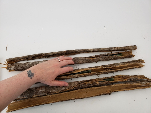 Place the bark rolls on a flat surface Place the bark rolls on a flat surface