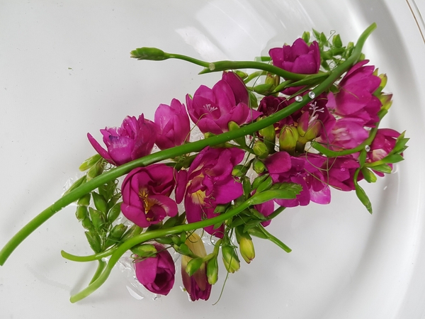 Quick and easy flower arrangements that are unusual Quick and easy flower arrangements that are unusual