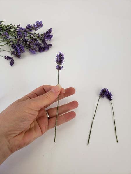 Remove the foliage so that you have a clean flower stems Remove the foliage so that you have a clean flower stems