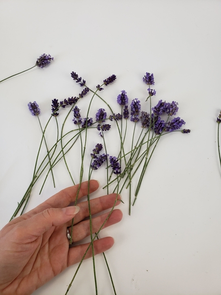 Set the stems on your working surface and let them dehydrate for a few minutes Set the stems on your working surface and let them dehydrate for a few minutes