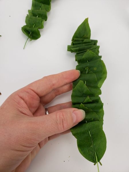 Skewer the leaves with a sharp wire creating Skewer the leaves with a sharp wire creating