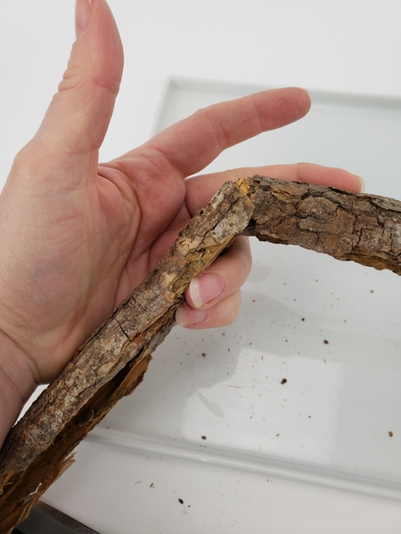 Snap the bark Snap the bark
