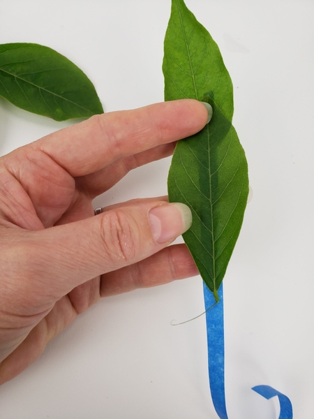 Stick foliage down on a thin strip of painters tape