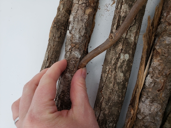 This gives the connection twigs a just grew this way look This gives the connection twigs a just grew this way look