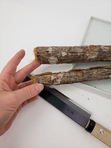 To give my "snap" a bit more of a rugged look I only scored the bark To give my "snap" a bit more of a rugged look I only scored the bark
