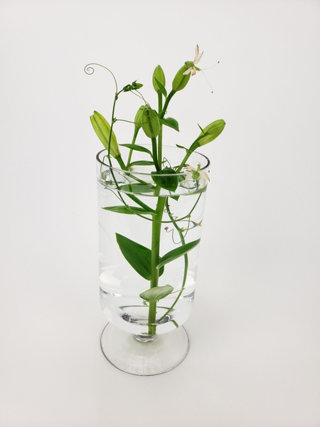 Add a tiny design detail to a summer floral arrangement Add a tiny design detail to a summer floral arrangement