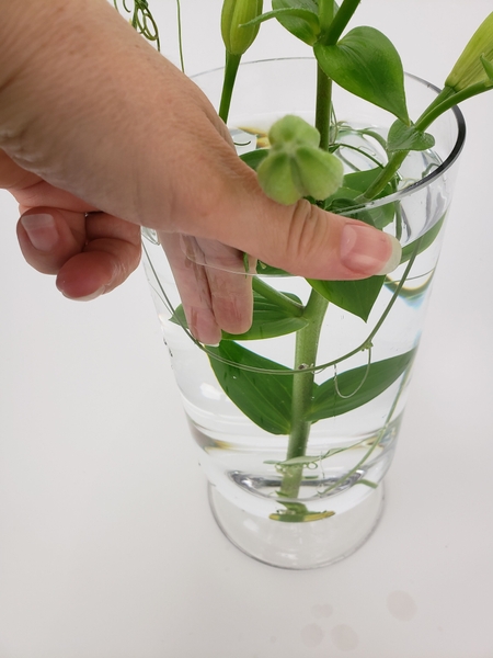 Add the vine to the vase to twirl around the lily