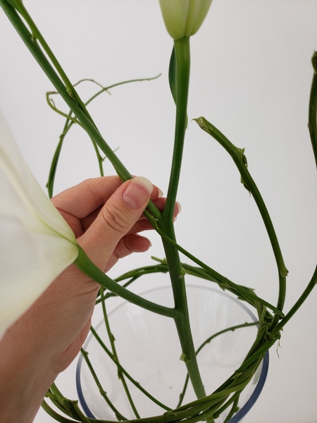Bend the first weaving stem towards the flower Bend the first weaving stem towards the flower