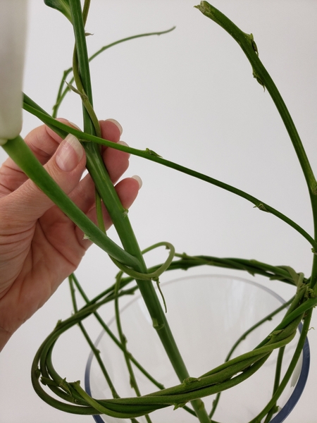 Bend the second stem in from the opposite side Bend the second stem in from the opposite side