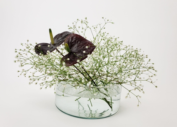Christine de Beer As if by magic floral design Christine de Beer As if by magic floral design