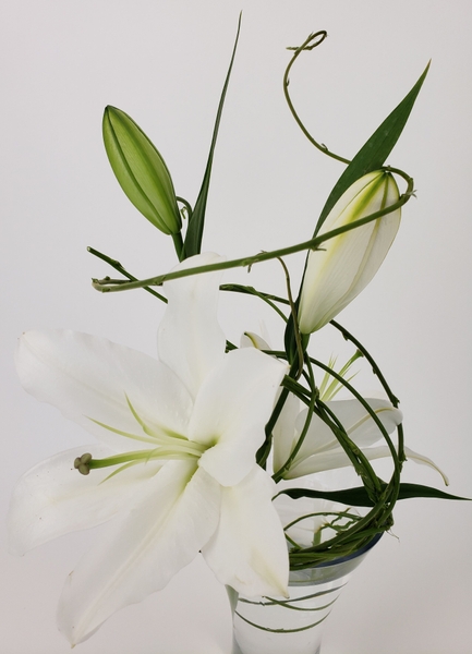 Creating professional flower arrangement using flowers from the super market Creating professional flower arrangement using flowers from the super market