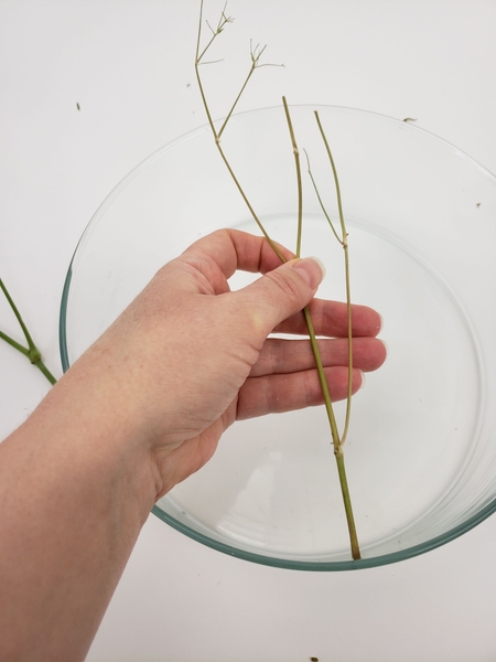 Cut the first stem to fit snugly inside the container