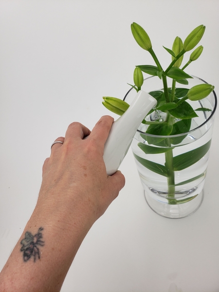 Fill the vase with water Fill the vase with water