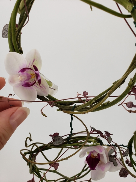 Fill the water tubes and add the orchids Fill the water tubes and add the orchids