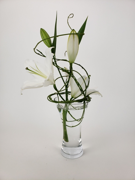 Floral design by Christine de Beer All Out Floral design by Christine de Beer All Out